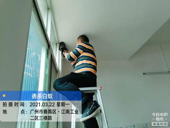 广州番禺江南工业二区三横路小区住户灭治白蚁