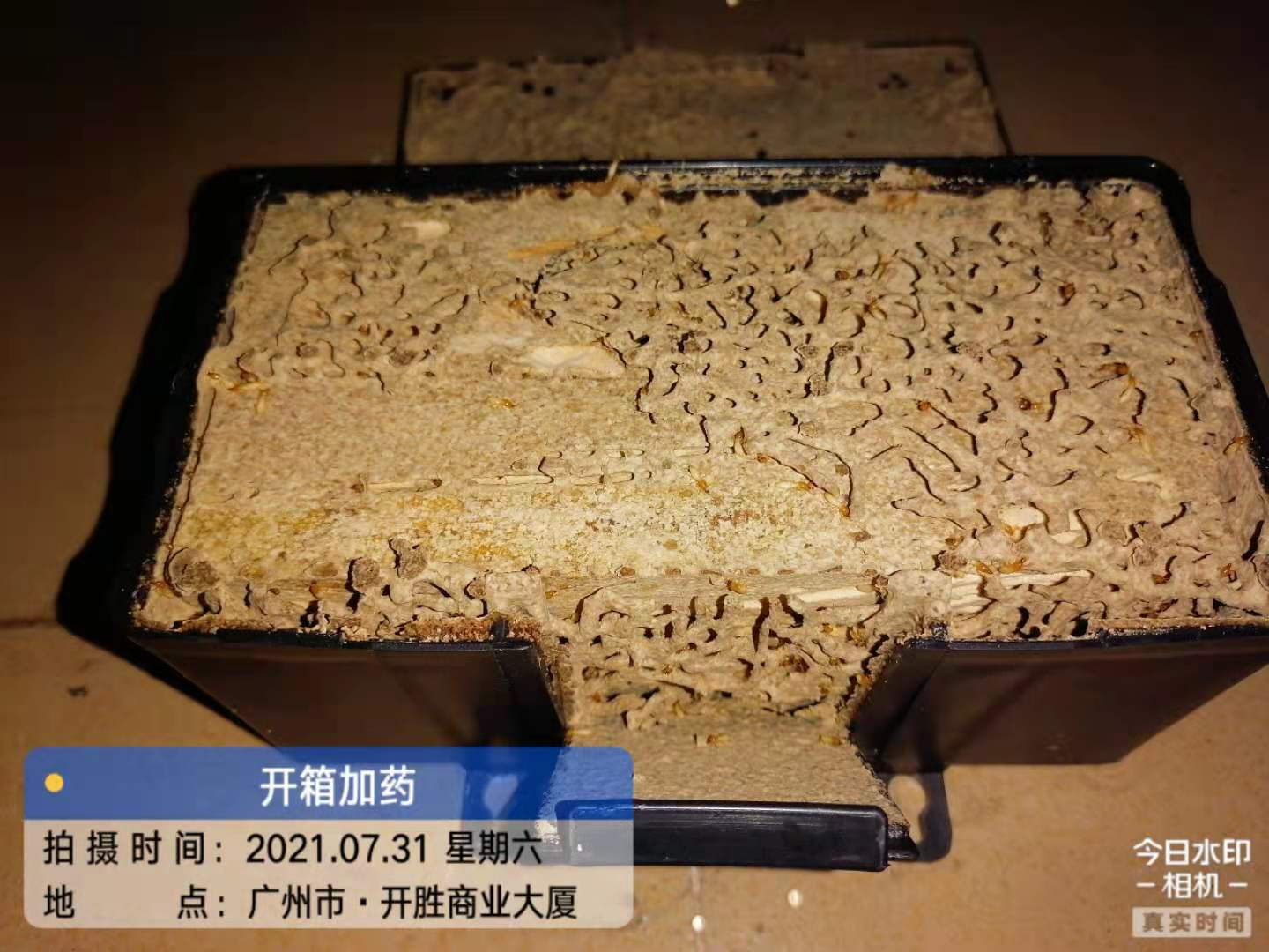 番禺大石开胜商业大厦灭白蚁